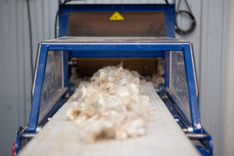 Mariposa Woolen Mill